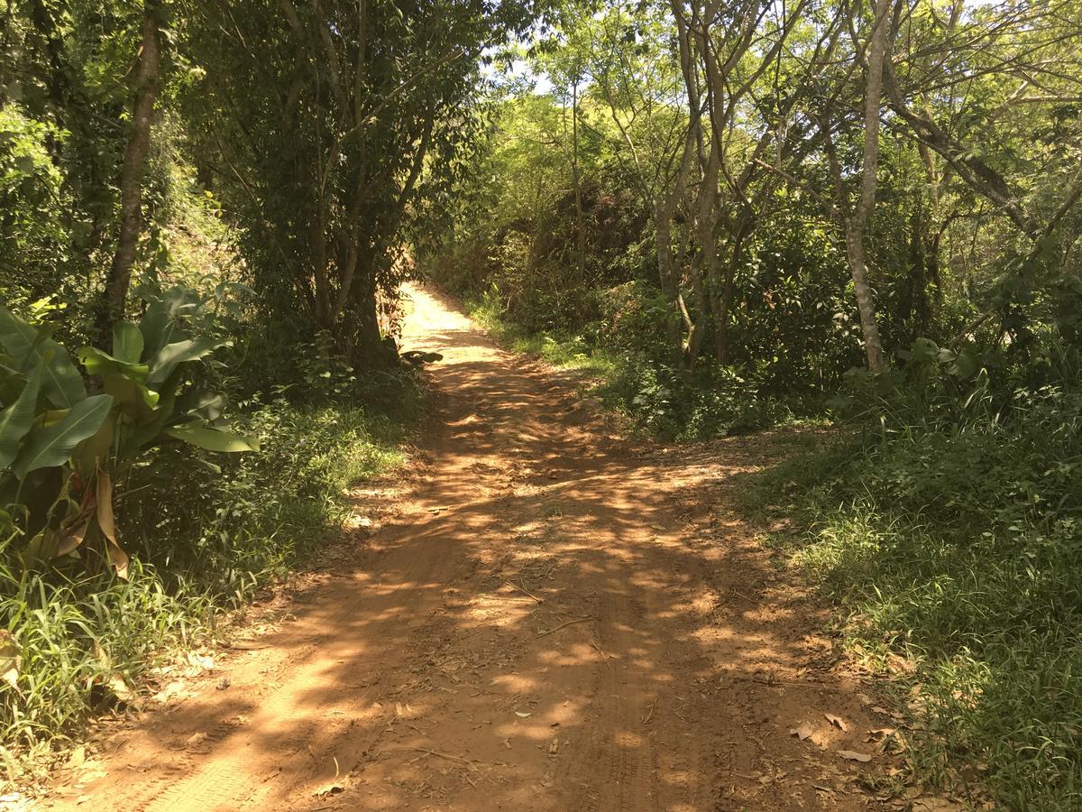 Mirante De Itamambuca Acomodação com café da manhã  Ubatuba